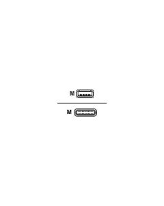 Cisco CAB-USBC-4M-GR= usb c - a cable  4 meters