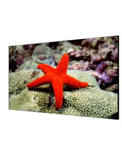 Hikvision DS-D2055LU-Y pantalla lcd 55" para videowall  entrada hdmi - vga dvi dp monitor robusto 3.5 mm gap