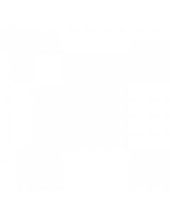 Nec np-ve303x Npve303x Xga  Dlp 3000 Lumen 10 000:1 Contrast