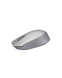 Logitech 910-005334 Mouse M170 Inalambrico Gris (910-005334)