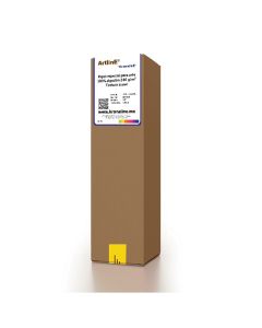 Kronaline ART201 papel especial para arte textura suave 100% algodón 240 gm2 061 x 12 m