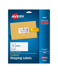 Avery 8163 Etiqueta Bca. Postal 2inx 4in Pinkjet 250