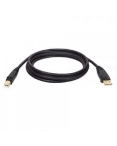 Tripp Lite u022-006 Cable Usb Tripp-lite - 1  8 M A B Macho Negro