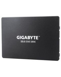 Gigabyte gp-gstfs31100tntd Ssd - 1 Tb
