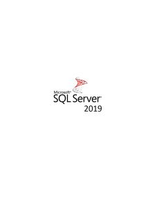 Microsoft 7S05004-UWW sql svr 2019 cal 5 u