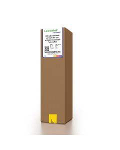 Kronaline LTX10 películas laminado en frío textura super arena 0635 x 50 mts