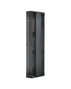 Panduit pe2vd10 Pe2v Cable Manager - 10" Wide Double S