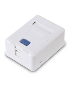 Saxxon a166-1 A1661 - Caja De Montaje En Superficie Para Jack Utp  1 Puerto Con Etiqueta