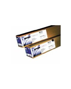 Hp c3875a 22.9m Pelicula De Poliester
